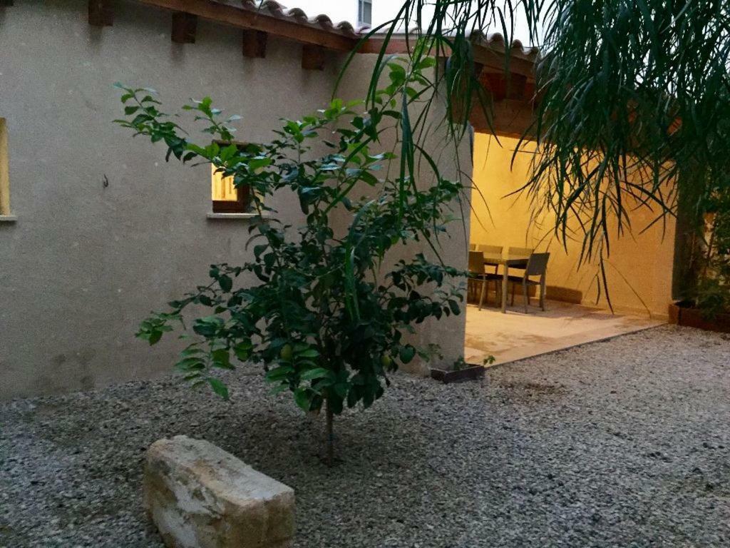 Almahome S'Arenal Dış mekan fotoğraf